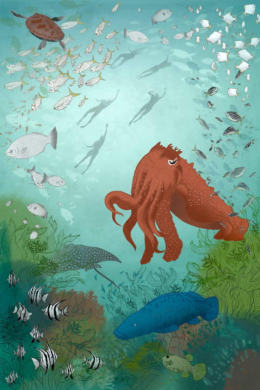 krsmith artist, katherine smith illustration, cabbage tree bay, cuttlefish, ocean, ocean swimming, blue groper, fish, underwater, turtle, sting ray.