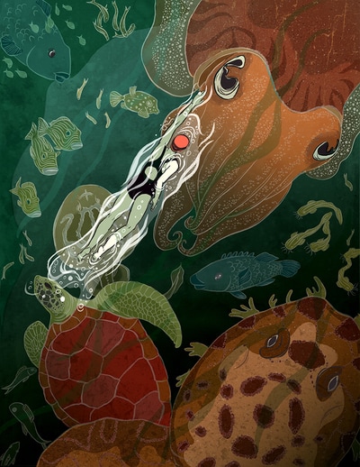 cuttlefish swimmer turtle wobbegong