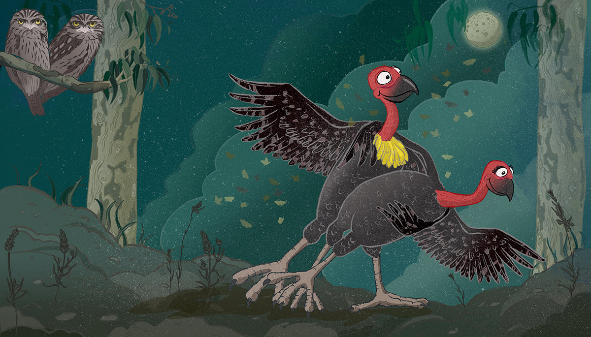 brush turkey character, childrens book illustration