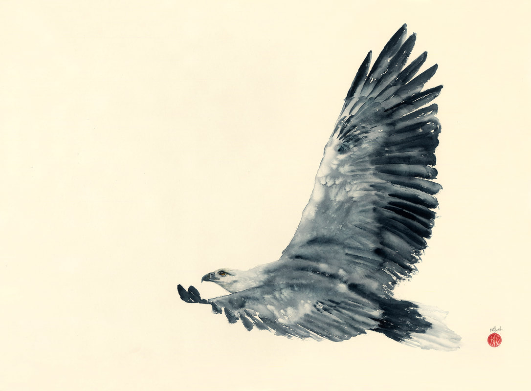 watercolour, watercolour, krsmith_artist, bird_art, sea_eagle