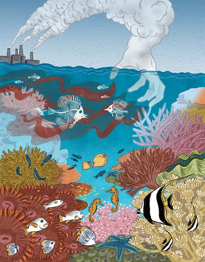 illustration coral reef climate change seahorse