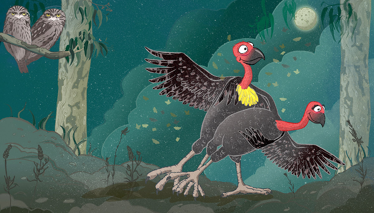 katherine smith illustration, turkey, brush turkey, tawny frogmouth, eucalyptus tree, moon, children's book illustration