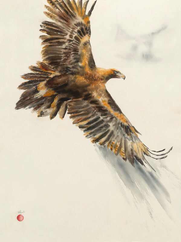 watercolour, watercolour, krsmith_artist, wedge_tailed_eagle, bird_art